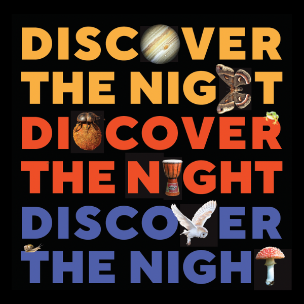 Discover the night
