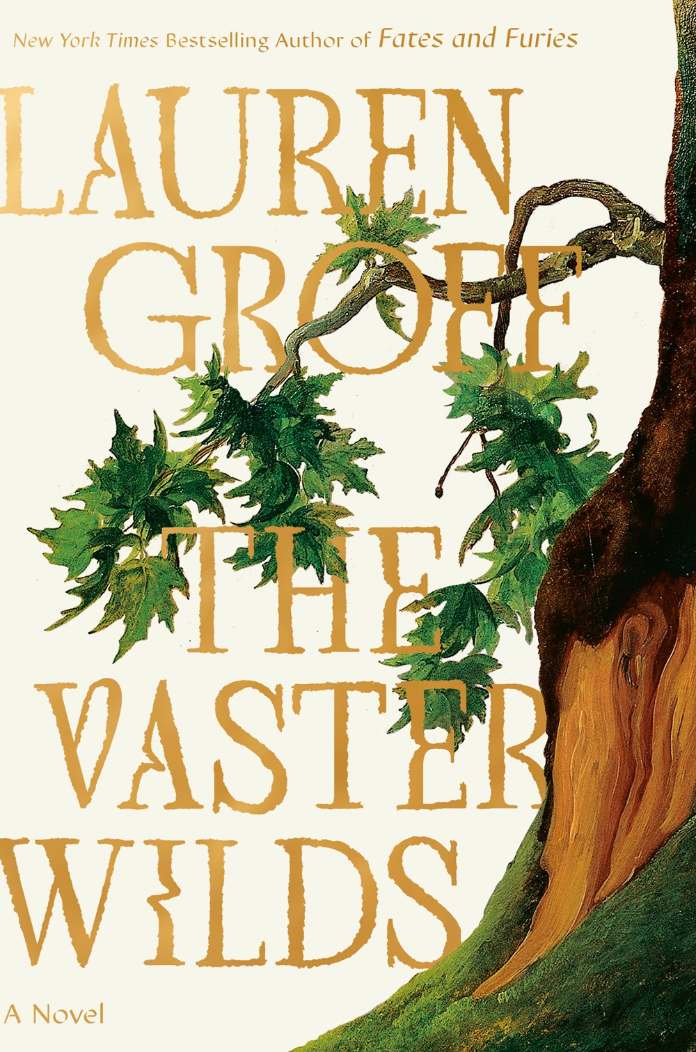 The Vaster Wilds Book Cover