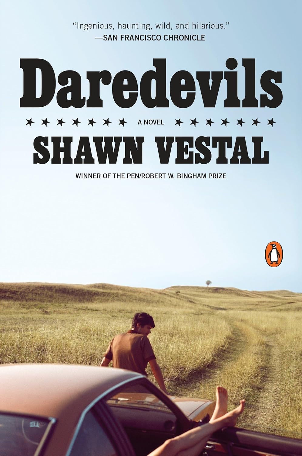 Daredevils Book Cover