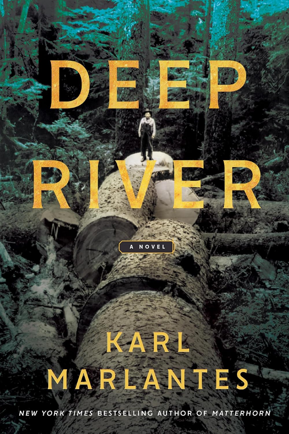 Deep River Book Cover