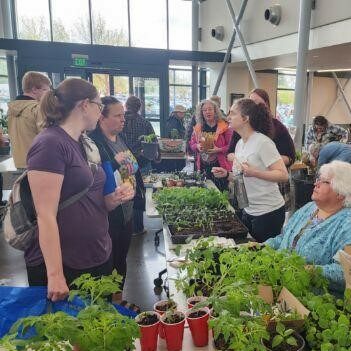 Library visitors take part in a plant swap