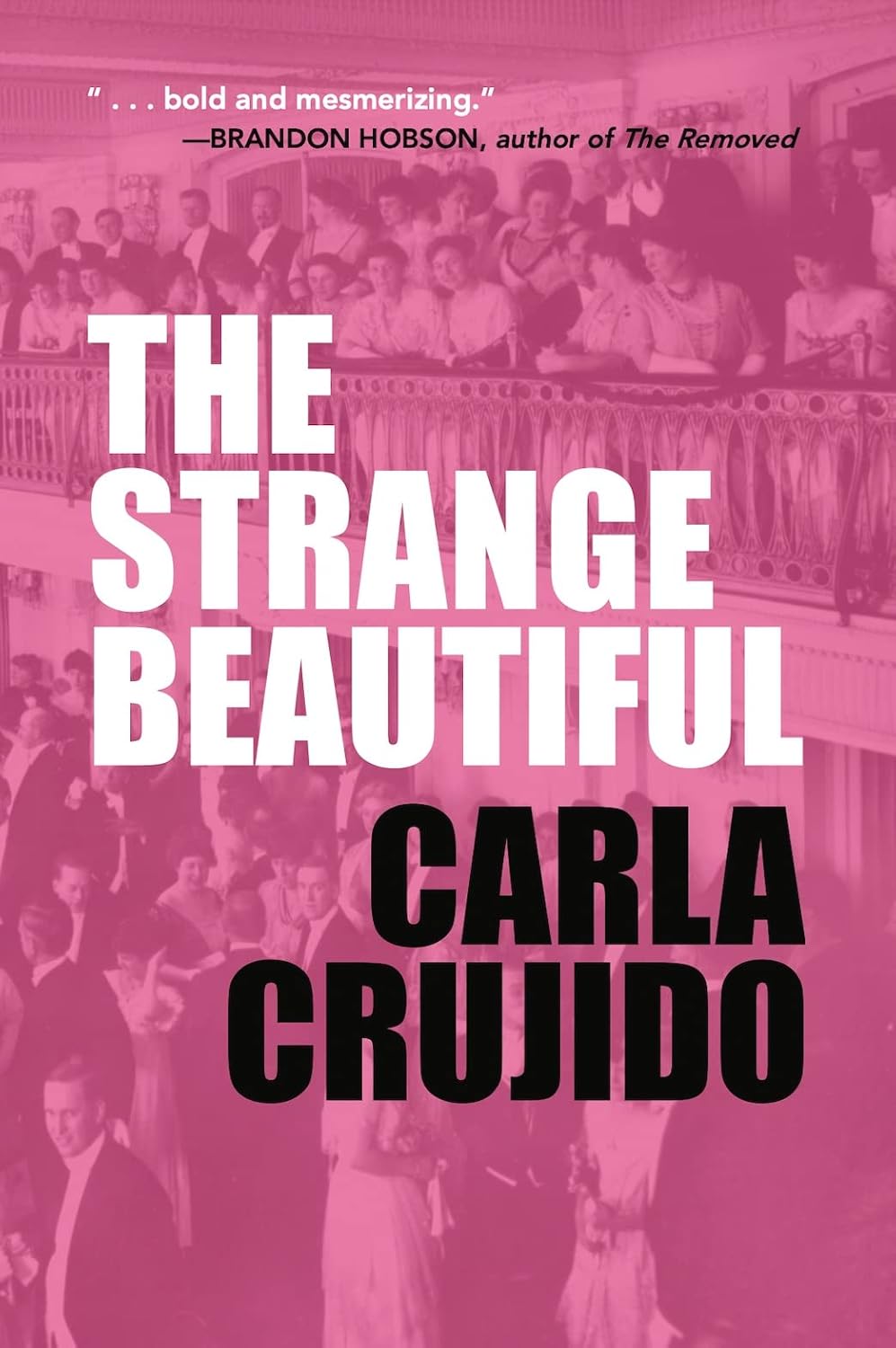 The Strange Beautiful Book Cover